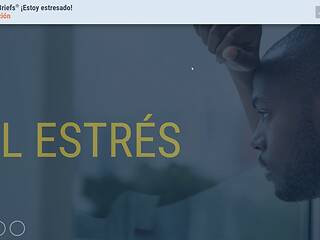 TrainingBriefs® I’m Stressed! (Spanish)